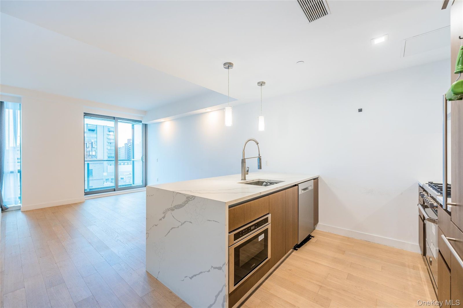 33-66 Farrington Street #8F — 图片 1